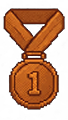 Bronze Medal